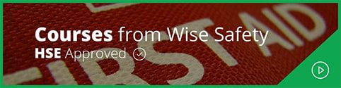 Safety Clothing & Workwear UK | Wise Safety – Est 1992