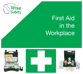 Safety Clothing & Workwear UK | Wise Safety – Est 1992