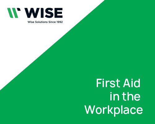 Safety Clothing & Workwear UK | Wise Safety – Est 1992