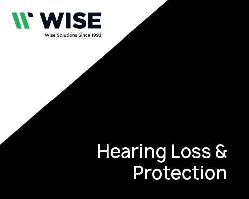 Safety Clothing & Workwear UK | Wise Safety – Est 1992