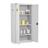 Standard Acids & Alkaline Cabinet